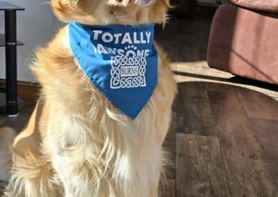 the indoor outdoor handyman facebook gallery 41